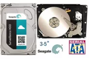   HDD 10TB 3.5'' Sata3 7200 256MB (Seagate ST10000VX004) Survei